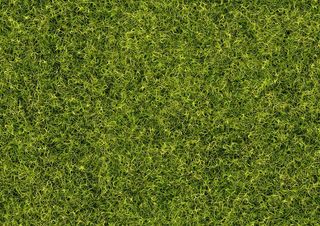 绿草，背景，草，灯心草，图案，结构，草地，绿色