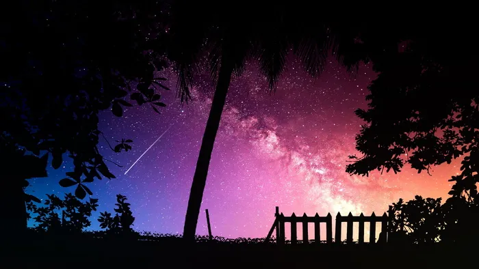 剪影照片、树木、彗星、自然、天空、日落、傍晚、黎明