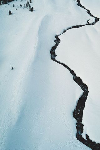 雪地上的树，雪，冬天，植物，树木，自然，道路，水