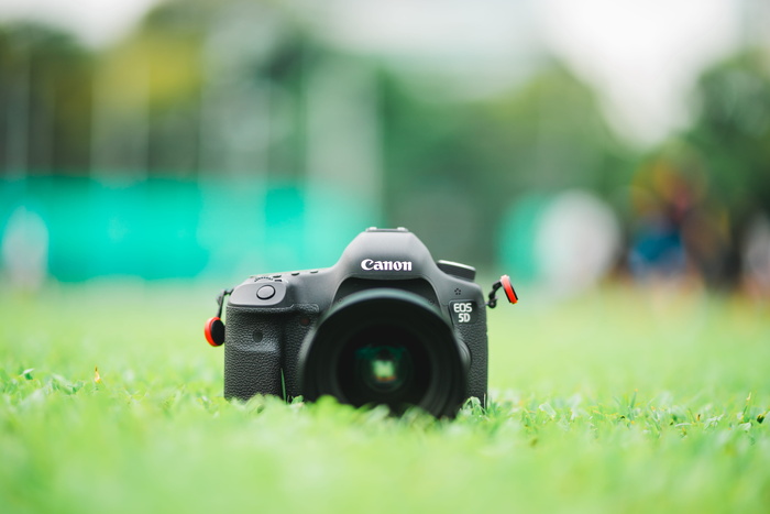 绿色草地上的黑色佳能EOS 5D