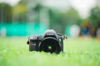 绿色草地上的黑色佳能EOS 5D