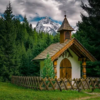 白色、棕色、木质、小教堂、旁边、绿色、松树、对面