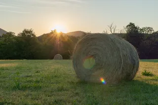 田地、田地、大草原、小山、稻草、bote、滚筒、乡村