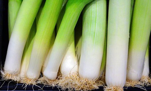 韭菜、蔬菜、新鲜、生物、食品、蔬菜、健康、食品和饮料