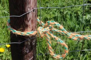 绳索、编织、彩色、彩色、打结、打结、木桩、围栏