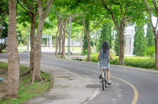 道路上有一棵绿树和骑自行车的女人