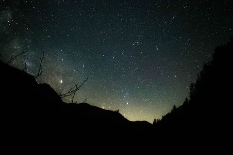 绿蓝繁星夜空中树木和山峦的剪影 绿蓝繁星夜空中树木和山峦的剪影