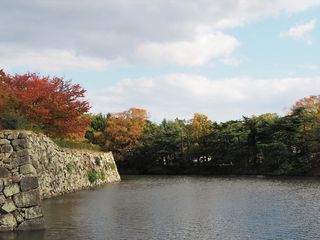 日本，姬路，自然，宁静，平静，树木，城堡，旅行