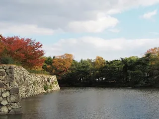 日本，姬路，自然，宁静，平静，树木，城堡，旅行