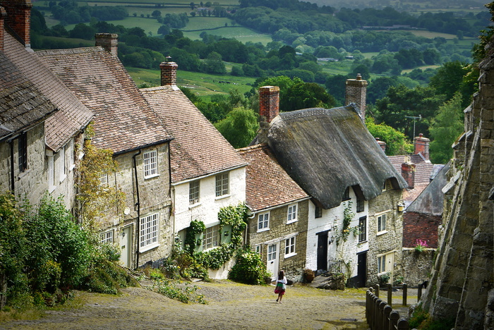 绿叶树，英国，沙夫茨伯里，英国，风景，村庄，小山