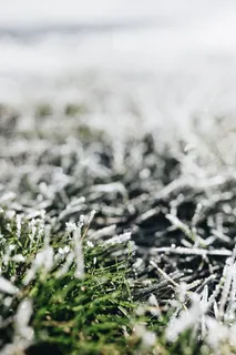 早晨霜冻覆盖了草地