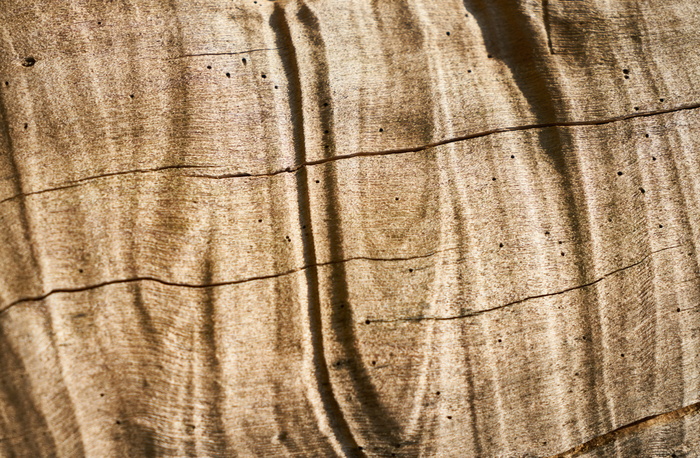 木材，木材，纹理，树木，图案，旧，木工，天然