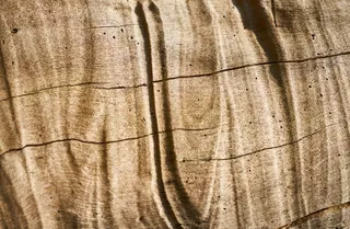 木材，木材，纹理，树木，图案，旧，木工，天然