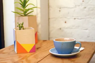 咖啡杯，明亮，干净，可爱，艺术，几何，蓝杯，咖啡店