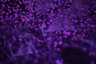 2018年度潘通颜色：紫外线