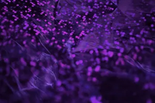 2018年度潘通颜色：紫外线