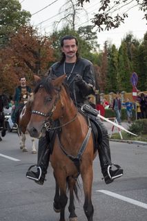 马术、人、马、历史、骑手、马背、种马、自然