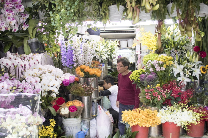 香港，兰花，玫瑰，向日葵，花卉，花店，花卉市场，探索