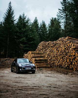 停在一堆圆木附近的汽车照片