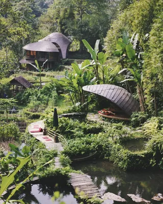 森林中的棕色建筑