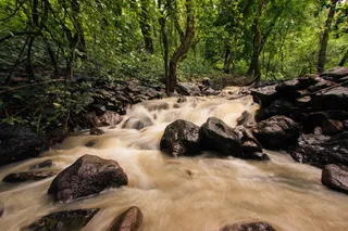 印度、孟买、桑杰·甘地国家公园、湖泊、雨水、摄影、水、国家公园