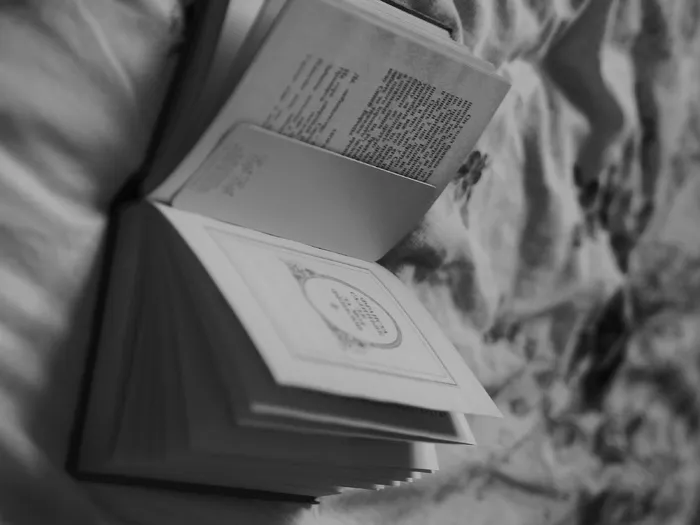 打开whit和black book