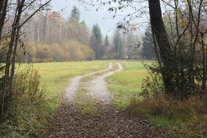 Moor，Moorland，Chiemgau，Jam，Roof，lane，Jam Roof，海外
