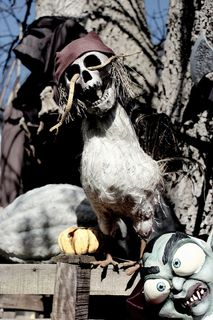 灰色，黑色，万圣节装饰，万圣节，怪物，幽灵，秋天，幽灵