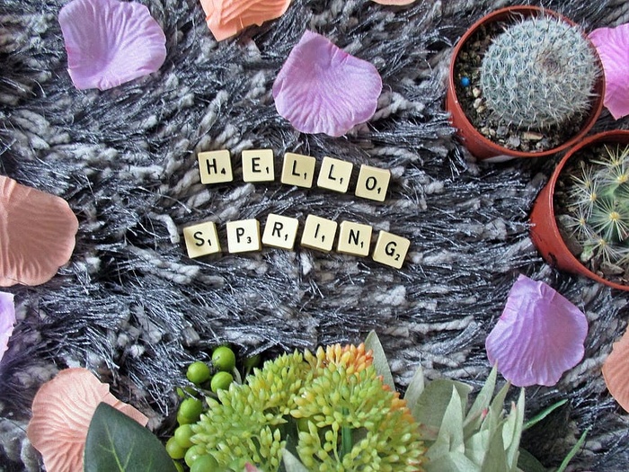 春天，拼字，字母，仙人掌，花朵，平躺，文字，植物