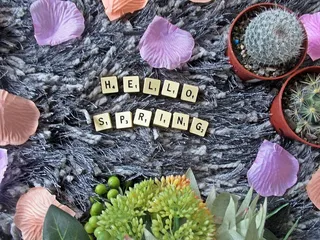 春天，拼字，字母，仙人掌，花朵，平躺，文字，植物