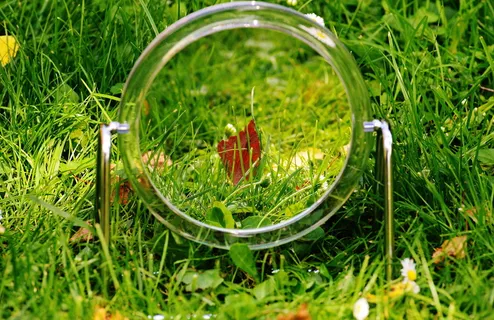 圆形化妆镜,草地,镜子,草地,镜像,镜像,可爱,有趣 圆形化妆镜,草地,镜子,草地,镜像,镜像,可爱,有趣