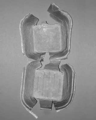 聚苯乙烯泡沫塑料，随身携带，食物，剩菜，垃圾，室内，无人，摄影棚拍摄