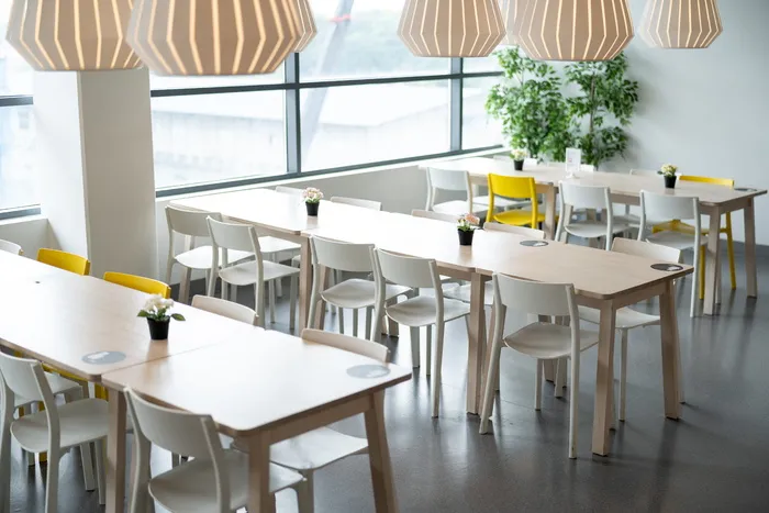 宜家、桌子、餐厅、椅子、灯具、植物、自然、生活方式