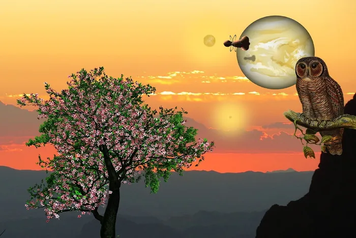 猫头鹰，树，月亮画，幻想，科幻，日落，行星，银河
