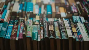 各类书名小说照片