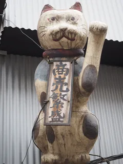 maneki neko,繁荣商业,雕像,新宿,交流,文本,无人,代表 maneki neko,繁荣商业,雕像,新宿,交流,文本,无人,代表