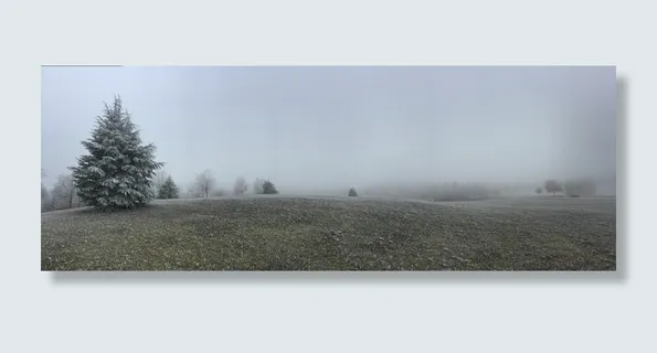冷杉、冬季、寒冷、冬季景观、霜冻、景观、树木、植物 冷杉、冬季、寒冷、冬季景观、霜冻、景观、树木、植物