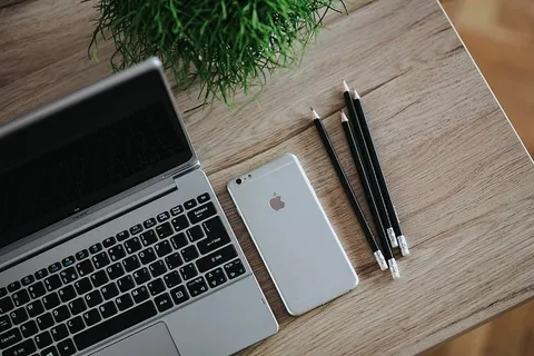 银色宏碁笔记本电脑放在一张木桌子上,上面有一株绿色植物、铅笔和一部苹果iPhone 银色宏碁笔记本电脑放在一张木桌子上,上面有一株绿色植物、铅笔和一部苹果iPhone