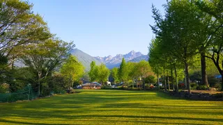 wolchulsan，with month over how to，yeongam month feility，tree，plant，mountain，scenecs-大自然，大自然之美