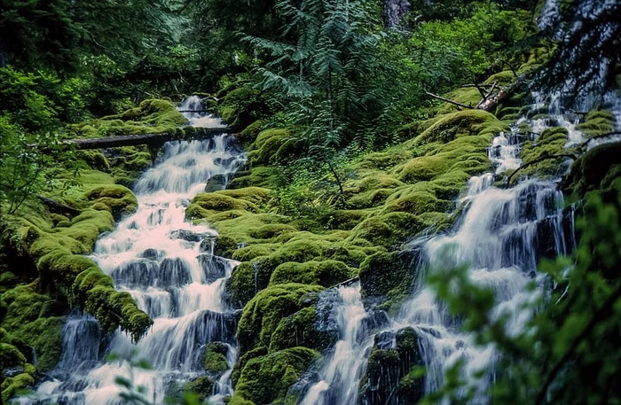 青山中的瀑布景观