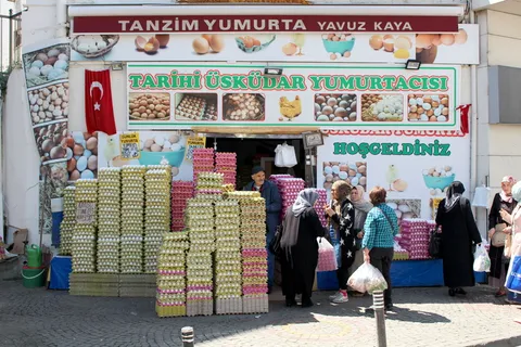 伊斯坦布尔、土耳其、üsküdar、东方、鸡蛋行动、鸡蛋、商业、真人 伊斯坦布尔、土耳其、üsküdar、东方、鸡蛋行动、鸡蛋、商业、真人