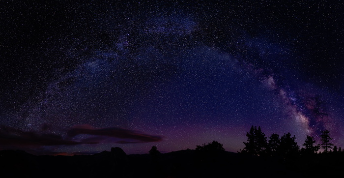 星星，夜空，自然，树木，轮廓，夜晚，天空，天文学