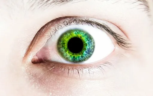 人,左边,眼睛,绿色,瞳孔,瞳孔,脸,人眼 人,左边,眼睛,绿色,瞳孔,瞳孔,脸,人眼