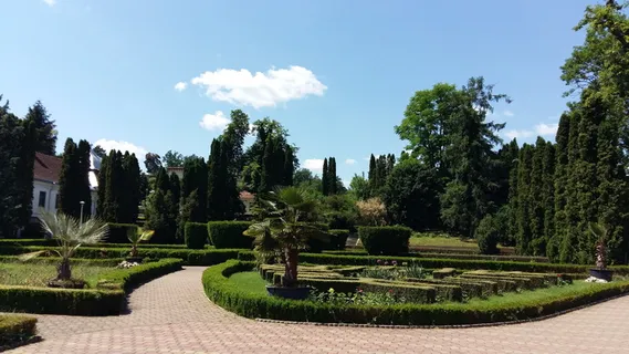 花园,永远是绿色的,背景,植物,树木,天空,自然,生长 花园,永远是绿色的,背景,植物,树木,天空,自然,生长