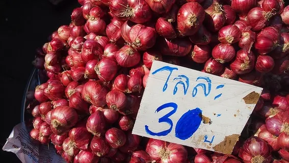 市场、洋葱、价格、标价、蔬菜、食品和饮料、食品、新鲜度 市场、洋葱、价格、标价、蔬菜、食品和饮料、食品、新鲜度