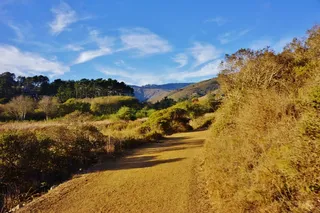 缪尔海滩, 加利福尼亚州, 马林县, 景观, 荒野, 风景, 自然, 野生