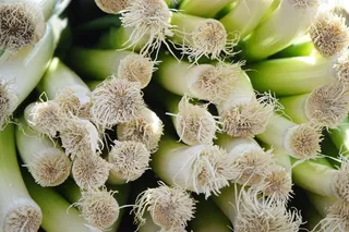 韭菜，根法，根，葱，葱，宽叶韭菜，冬韭菜，大葱