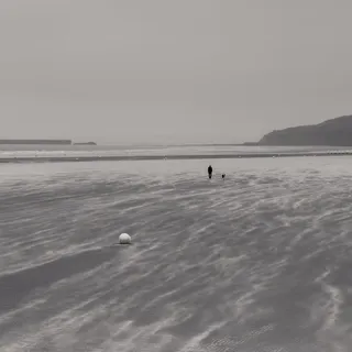 海滩，去，散步，狗，放松，去散步，海岸，海