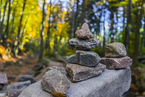 树旁一堆灰色的石头 树旁一堆灰色的石头