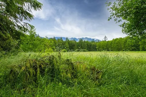 云、田野、冷杉、草、风景、树叶、山脉、自然 云、田野、冷杉、草、风景、树叶、山脉、自然